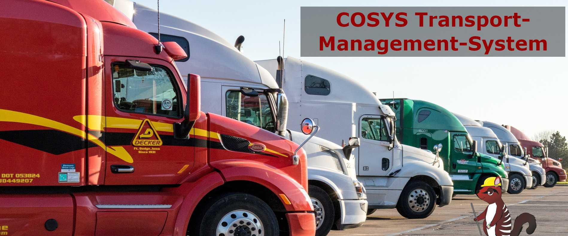 COSYS Transport-Management-System